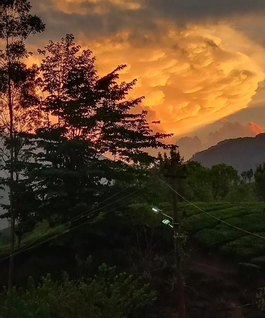 Munnar Home Stay 0*,