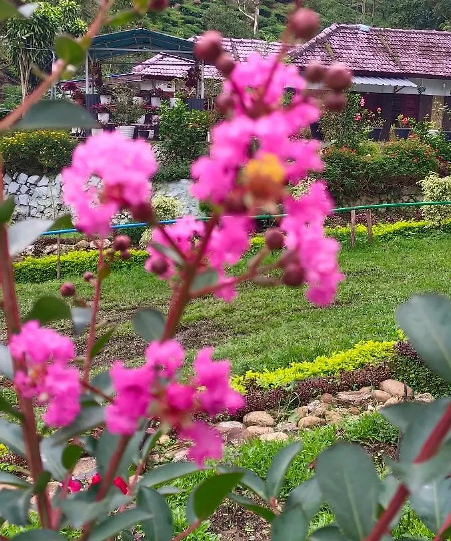 Munnar Home Stay 홈스테이