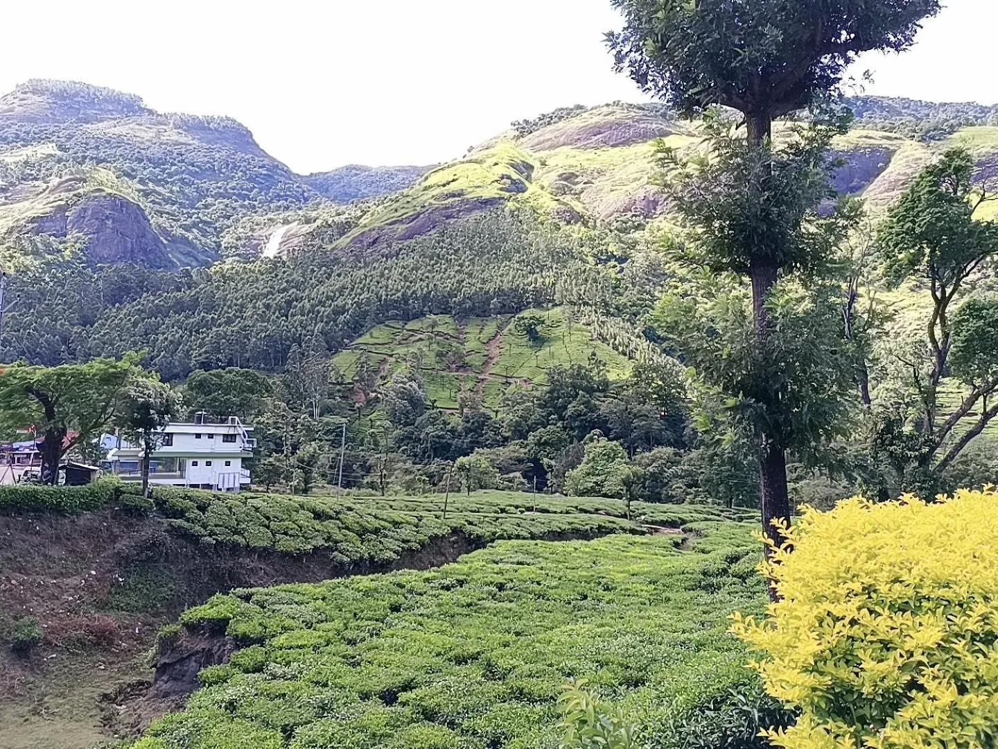 홈스테이 Munnar Home Stay