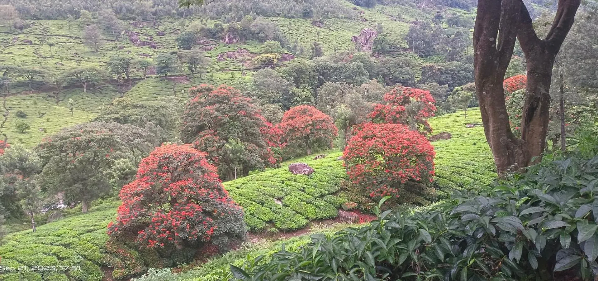Munnar Home Stay