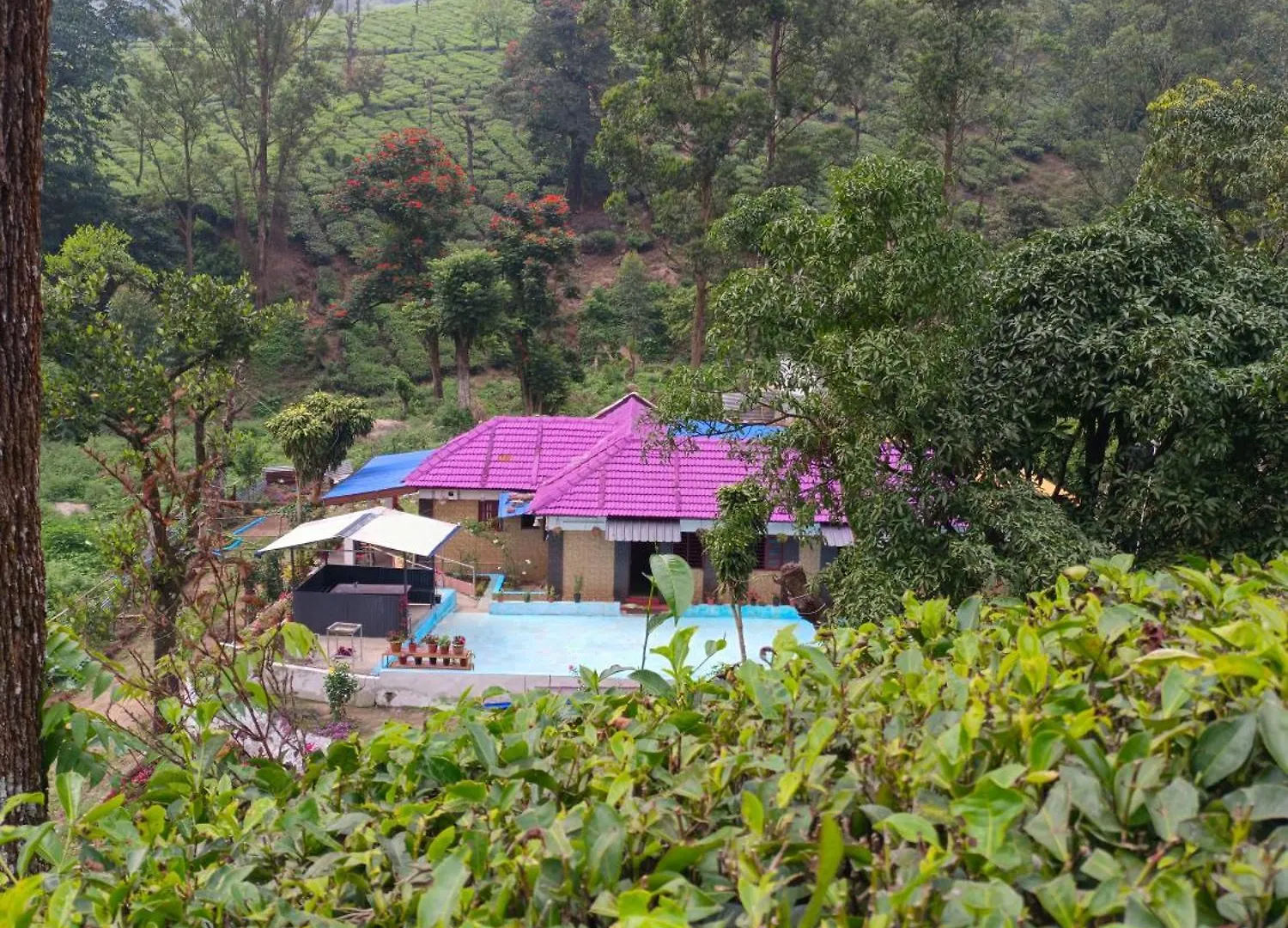 Munnar Home Stay