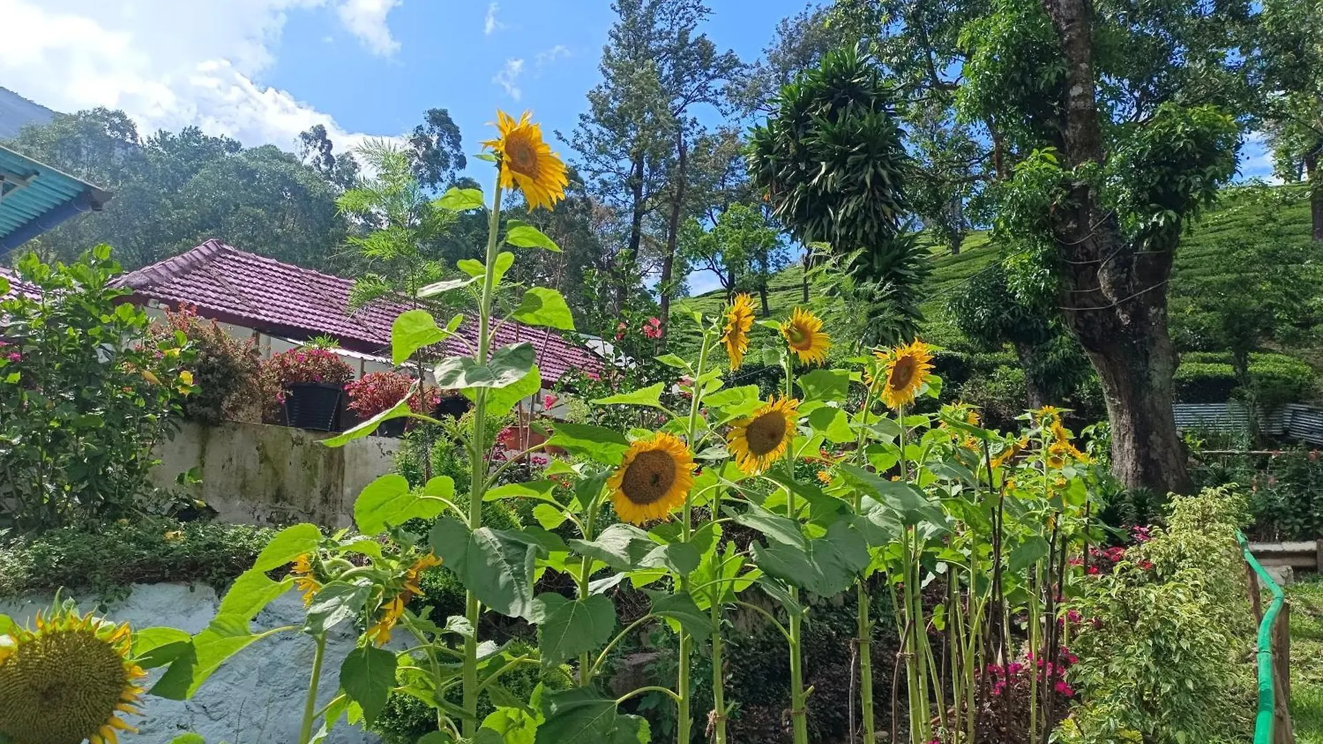 Munnar Home Stay 0*,  인도