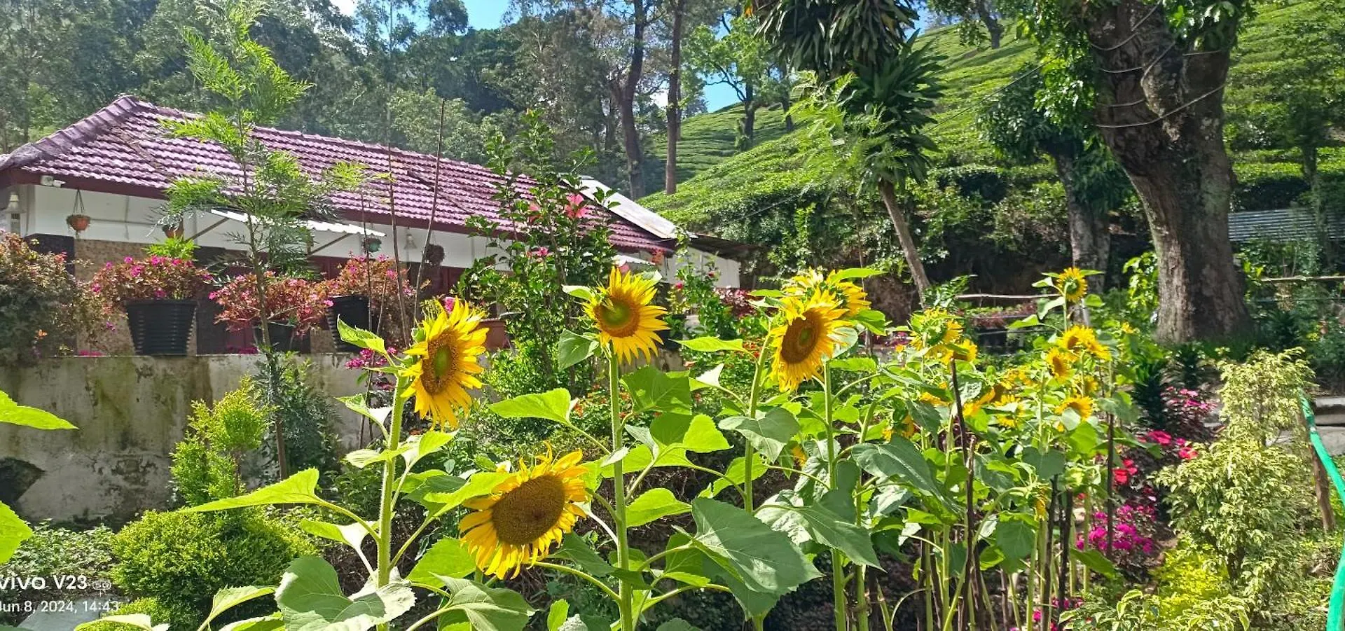 Munnar Home Stay